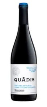 Vin Espagne Quadis Vino De La Tierra De Cadiz Barbadillo 2022